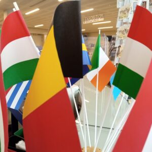 Drapeaux des pays de l'Union européenne