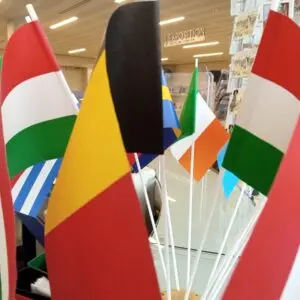 Drapeaux des pays de l'Union européenne(en translation)
